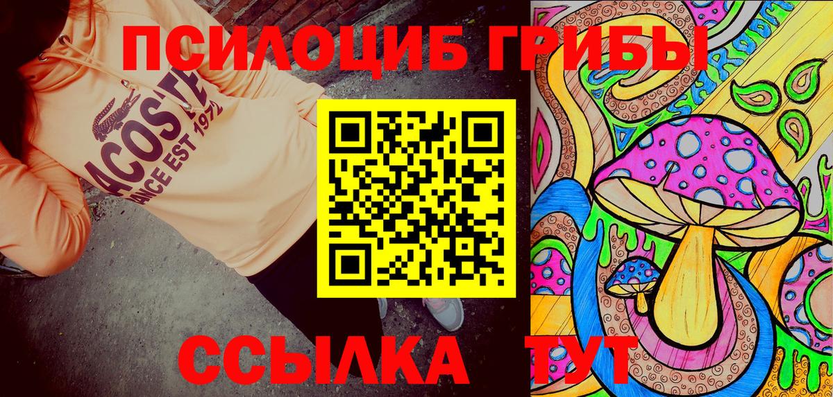 Екатеринбург  Псилоцибиновые грибы Psilocybine cubensis  Вход с VPN 